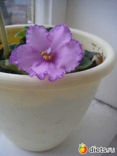 11 ����: �����