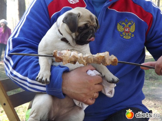 3 ����: ��� ��������