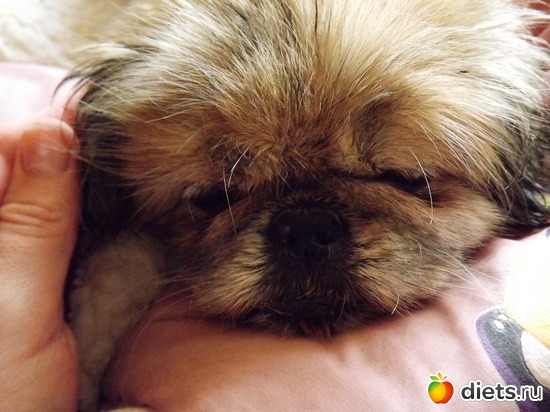 4 ����: ��� ��������