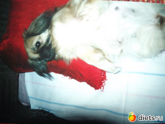 6 ����: ��� ��������