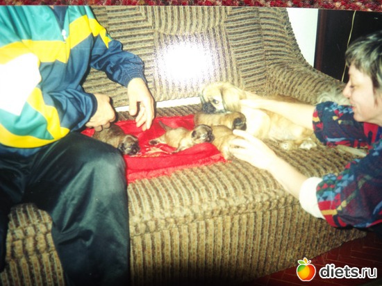 7 ����: ��� ��������