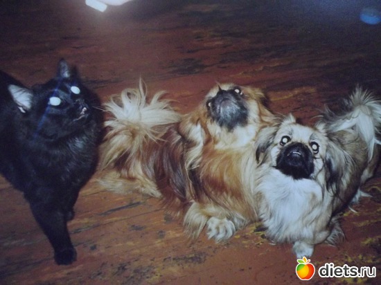 8 ����: ��� ��������