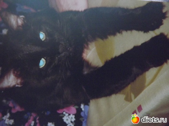 9 ����: ��� ��������