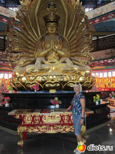 6 ����: �� ����