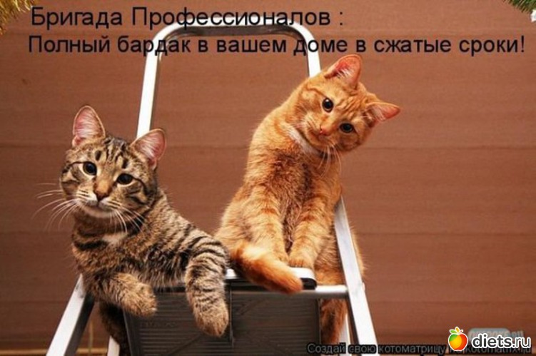 2 ����: ��������