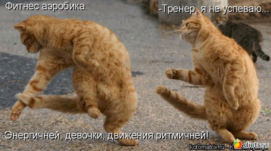 4 ����: ��������