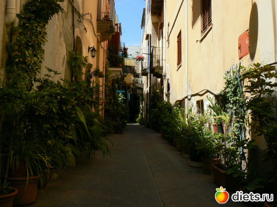 8 ����: Venezia