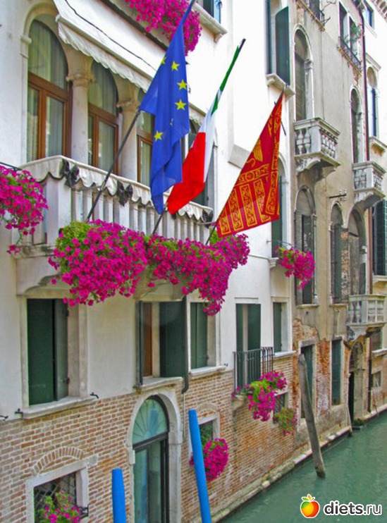 12 ����: Venezia