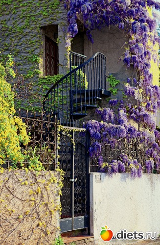 17 ����: Venezia