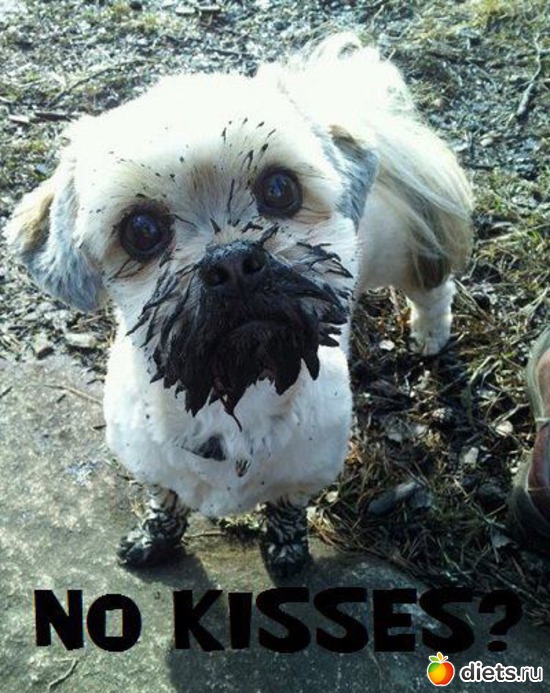 4 ����: ����� �����