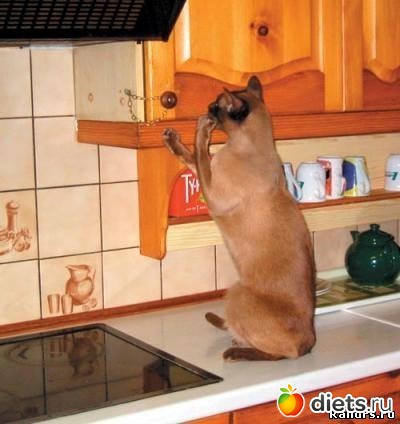 ���� � ���