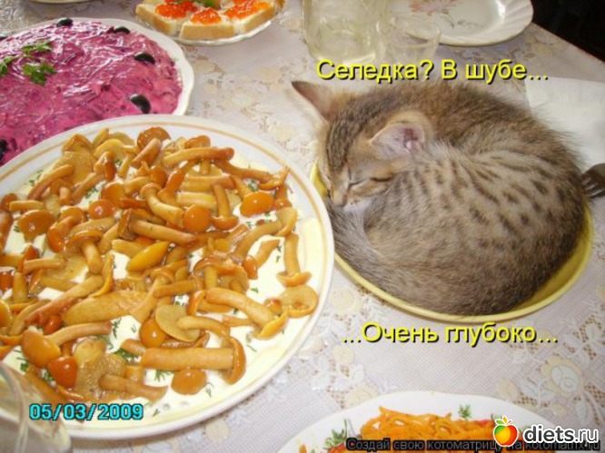 6 ����: ���� � ���