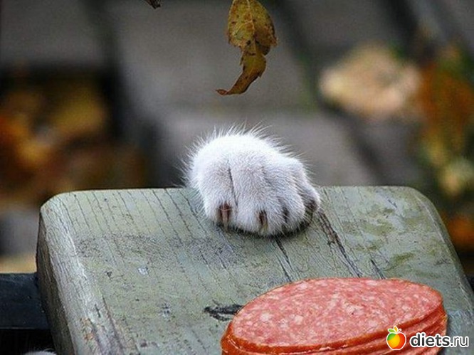 11 ����: ���� � ���