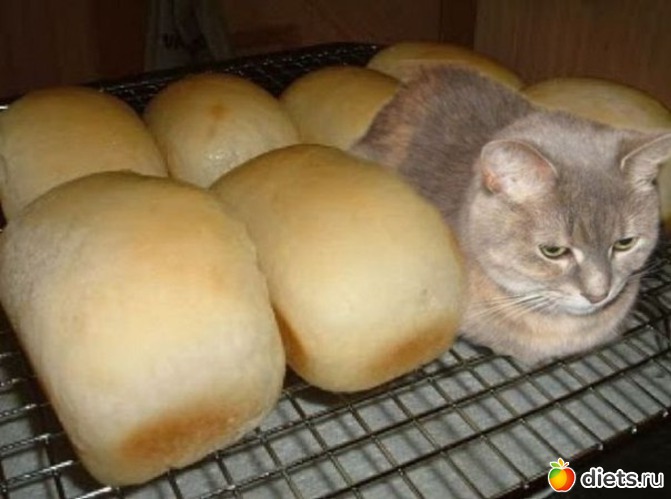 12 ����: ���� � ���