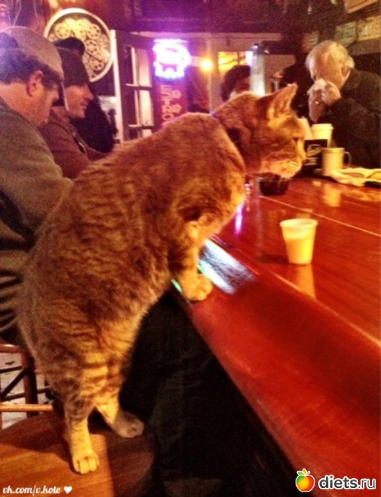 15 ����: ���� � ���