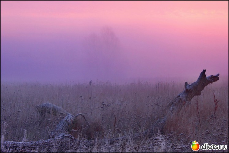 102 фото: Разные картинки