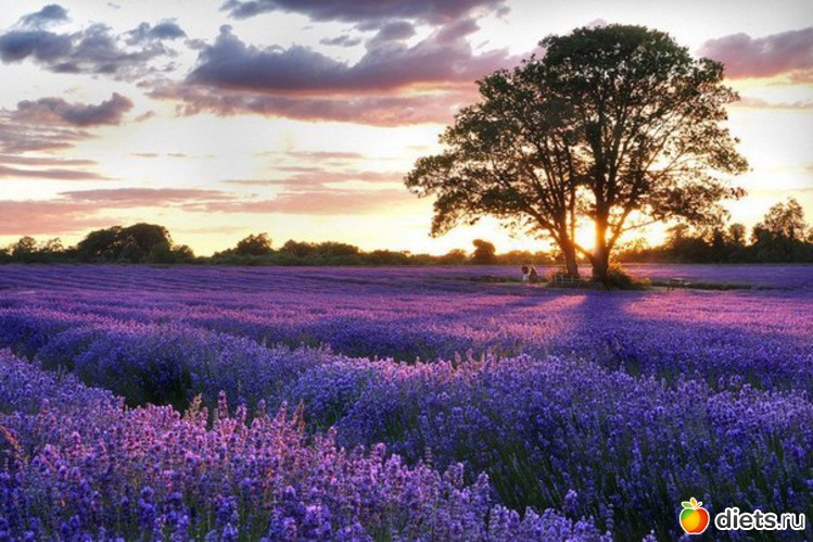 106 фото: Разные картинки