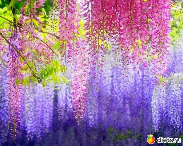 107 ����: ������ ��������