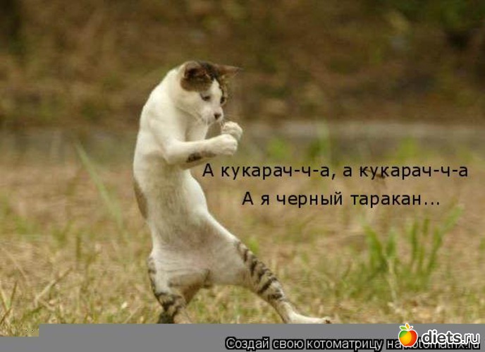 8 ����: ��������