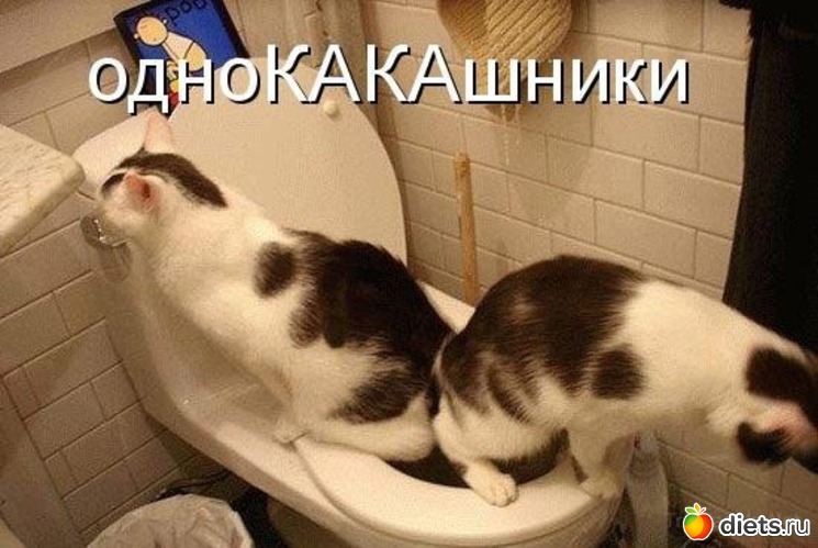 9 ����: ��������