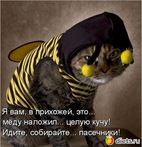 15 фото: Мурчалки