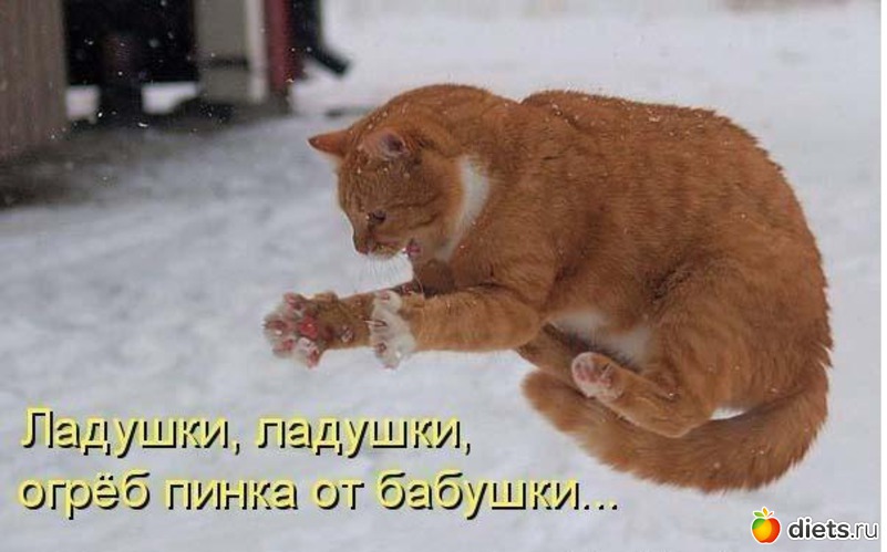 16 ����: ��������