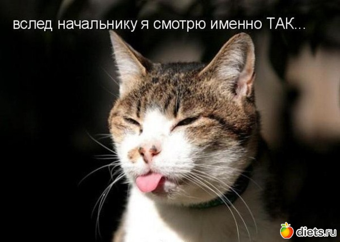 17 ����: ��������