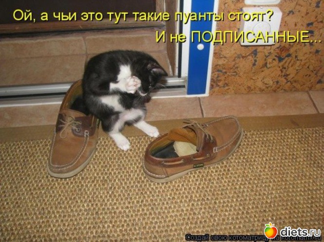 18 ����: ��������