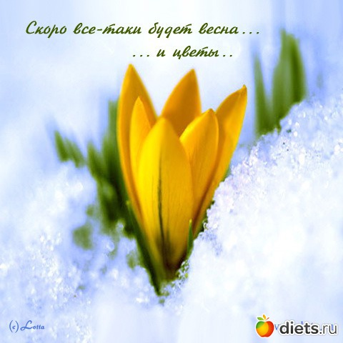 ��� �������