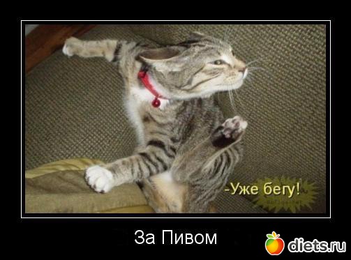 Мой альбомчик