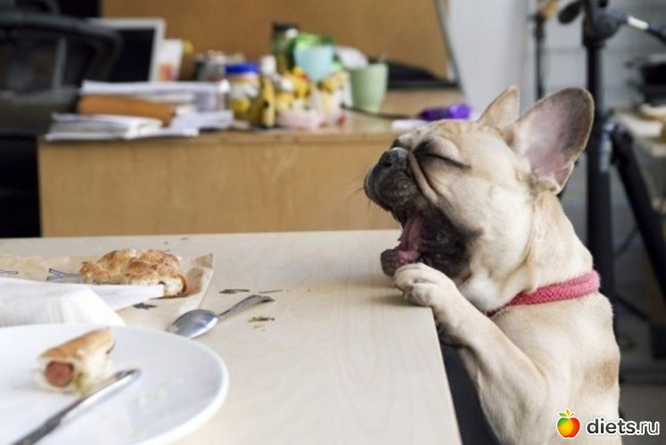 52 фото: Мой альбомчик