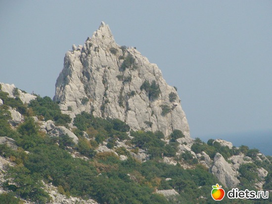 1 ����: ����������� �� �����