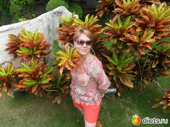 5 ����: � � ...