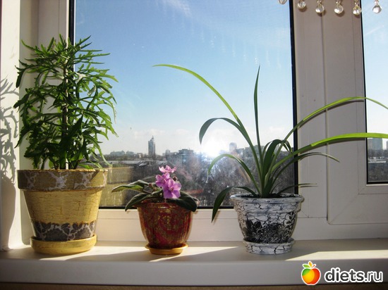 Веселые горшочки, альбом: Hand Made