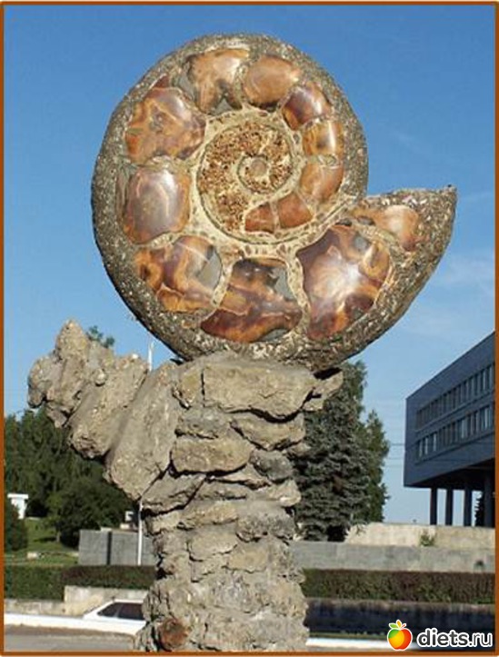 12 ����: �