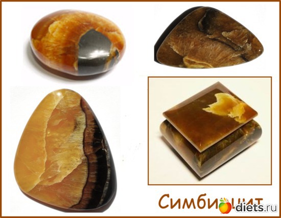 14 ����: �