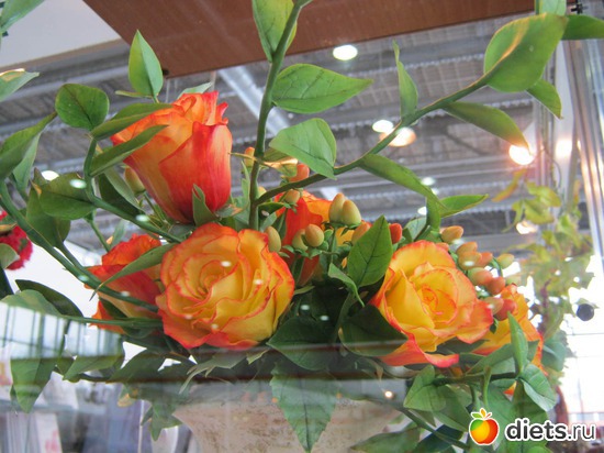 38 ����: �������� ��������� ����� 2