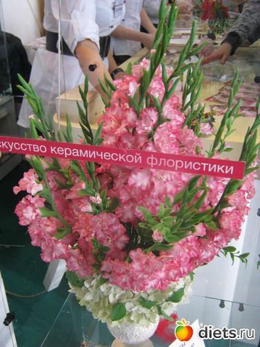 41 ����: �������� ��������� ����� 2