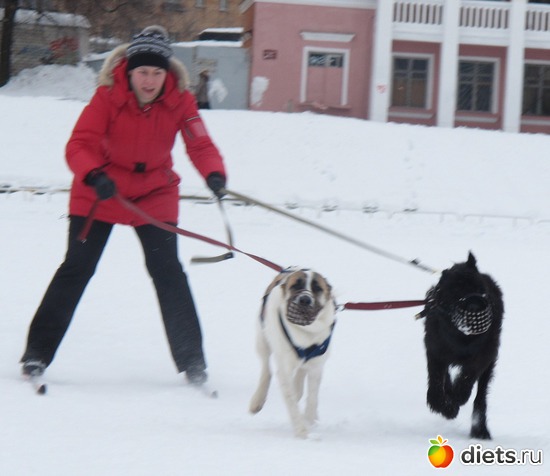 1 ����: � � ��� �����