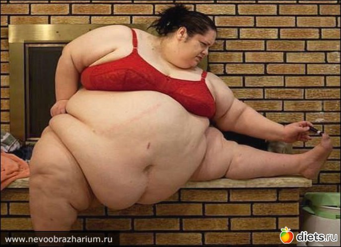 =), ������: �� �������� ������