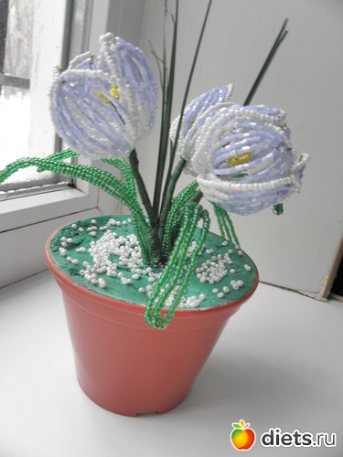 ������� ��� �������, ������: ������ ������