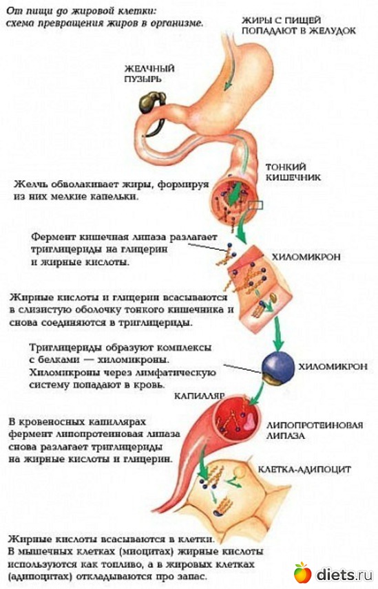 7 ����: ���������!!!!!!!!!!