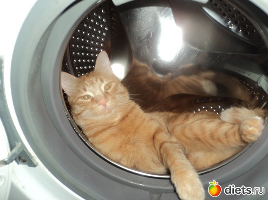 1 фото: Тимошка