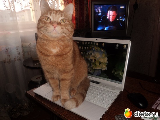 2 фото: Тимошка