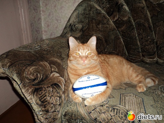 3 фото: Тимошка