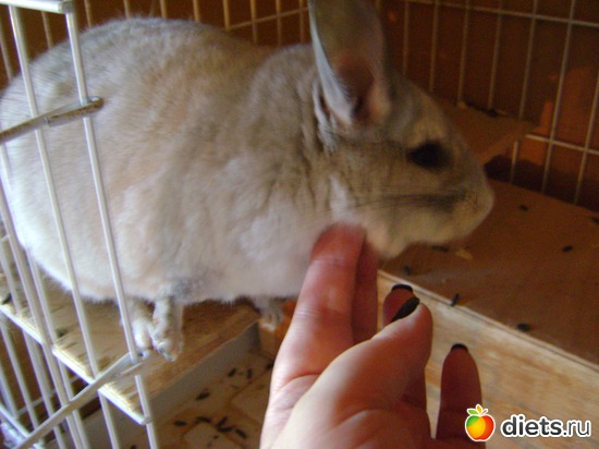 4 ����: ��� �������� �������!!