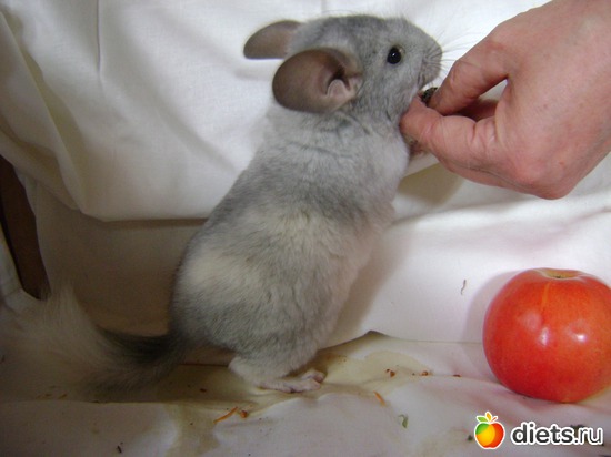 5 ����: ��� �������� �������!!