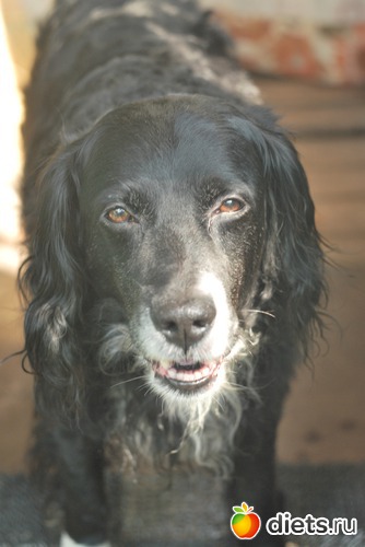 �� � ��� �� ��� ������ ))), ������: ��� �����