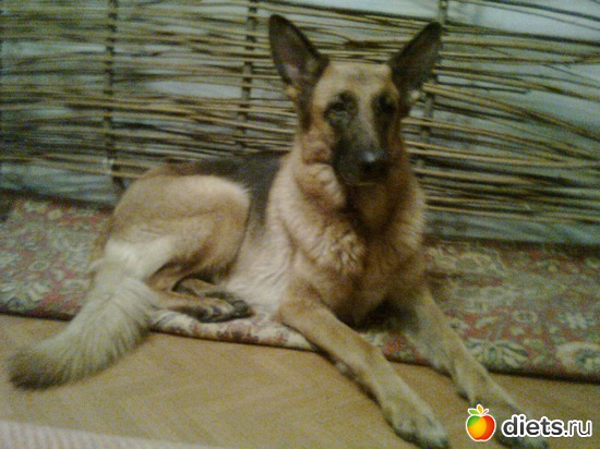 ������, ��� �� �������, ������: ��� ������������ ������