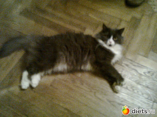 �����, ������: ��� ������������ ������